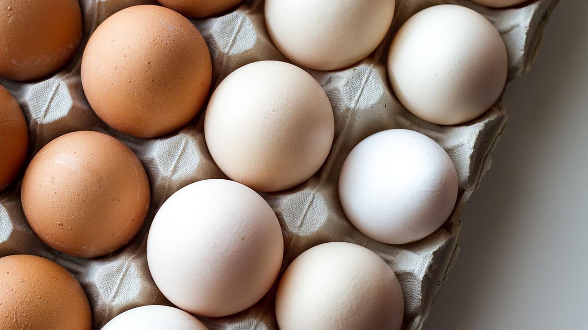 Nominaal gedragen Overgave Witte en bruine eieren: wat zijn de verschillen en wat is gezonder? - Kassa  - BNNVARA