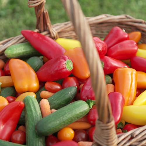 PFAS-pesticiden in populaire snoepgroenten voor jonge kinderen