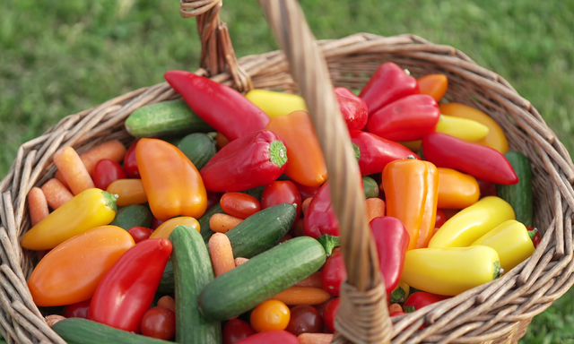 Afbeelding van PFAS in populaire snoepgroenten voor jonge kinderen