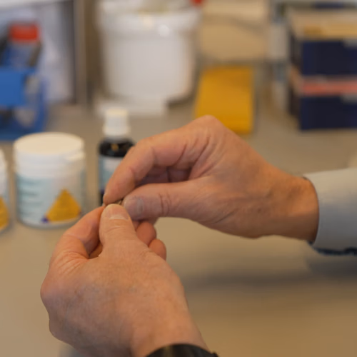 Heb jij parasieten volgens TikTok? Kijk uit voor kuren zonder wetenschappelijk bewijs