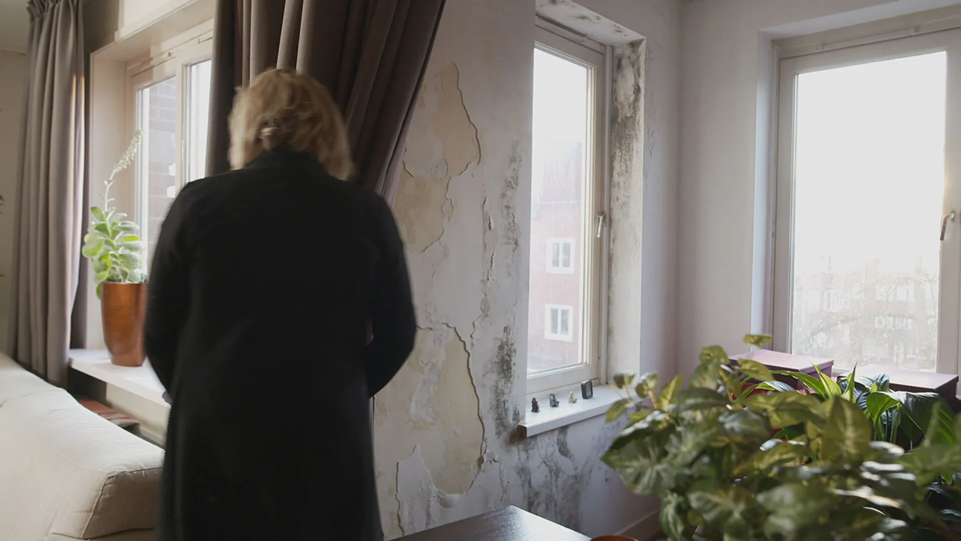 Afbeelding van Schimmel en vocht zorgt in één op de vier huurwoningen voor problemen