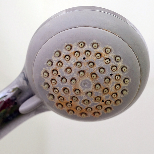 Zwakke waterstraal tijdens het douchen? Zó maak je de douchekop kalkvrij