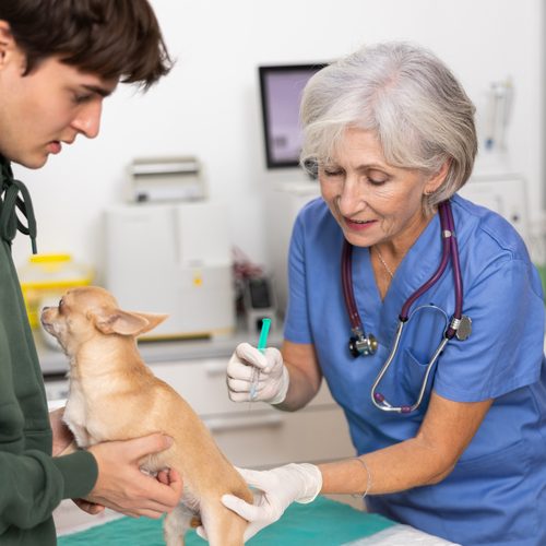 Mijn huisdierenverzekering accepteert geen claims ouder dan drie maanden. Mag dat?