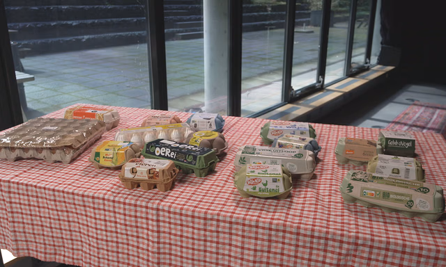 Afbeelding van Hoe verschillen eieren in de supermarkt en welke eieren zijn het beste qua dierenwelzijn?