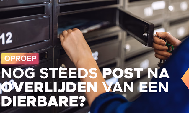 Afbeelding van Oproep: ontvang je na lange tijd nog steeds post na het overlijden van een dierbare?