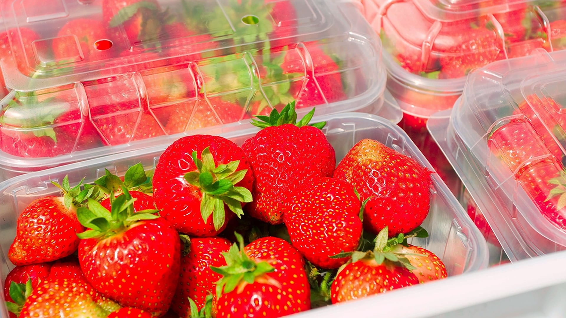 Afbeelding van Minder gif gevonden op Hollandse aardbeien in de supermarkt