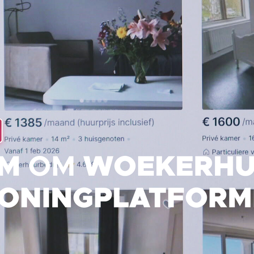 Afbeelding van Alarm om woekerhuren op woningplatformen: "Verhuurders vragen hogere huren dan toegestaan"