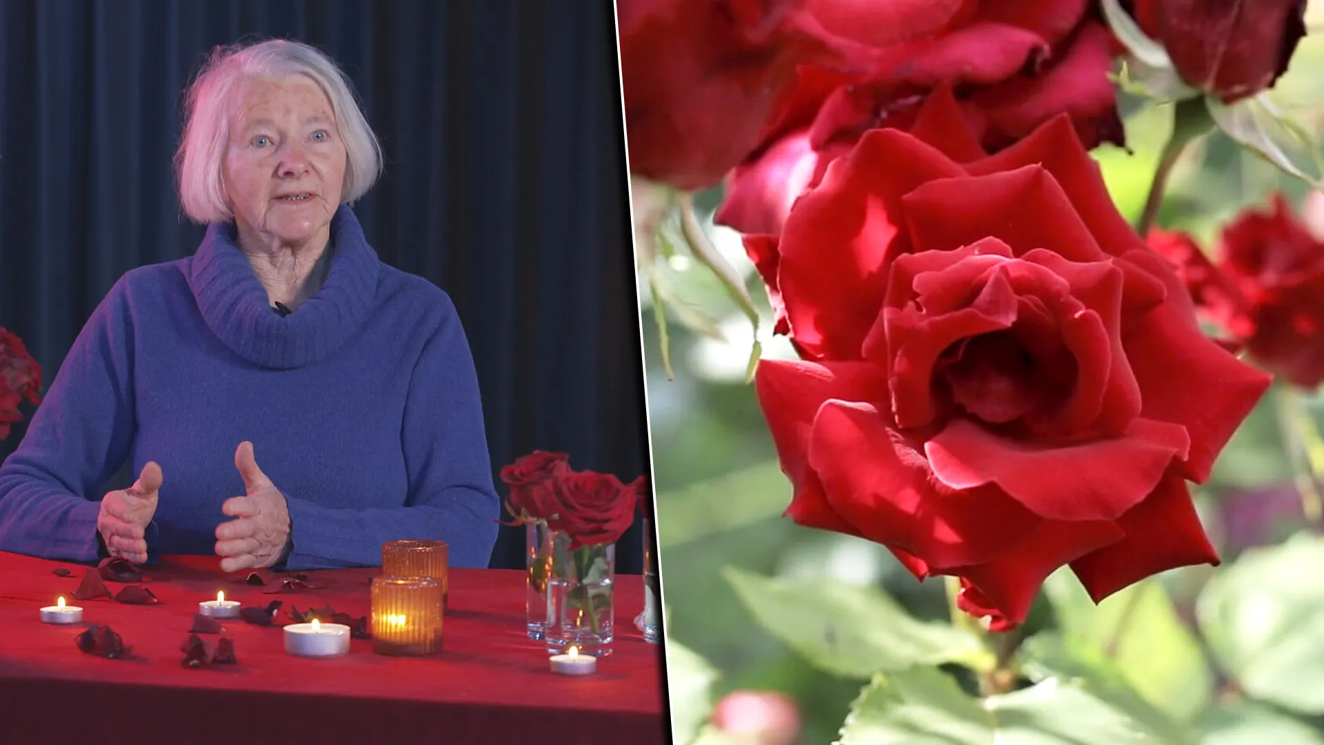 Afbeelding van Een roos voor Valentijnsdag? Verboden, schadelijke pesticiden op boeketten