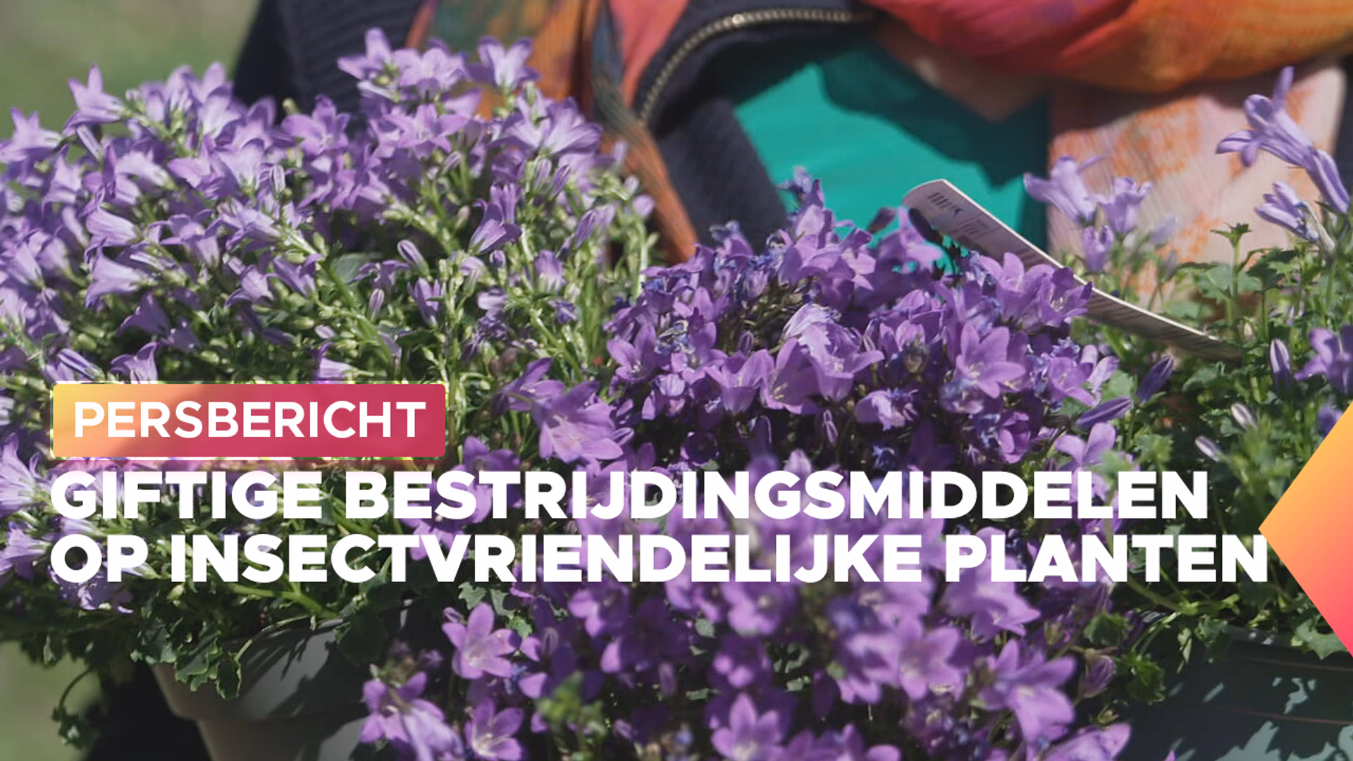 pb_pesticiden_1280px