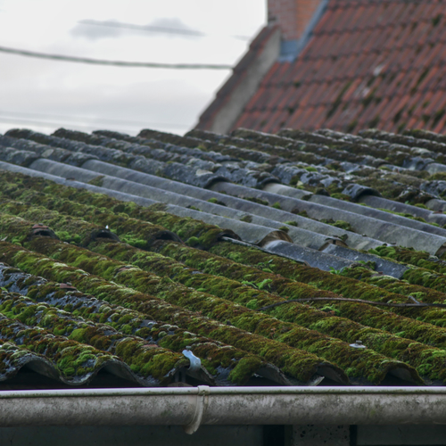 Wie kan ervoor zorgen dat mijn buren hun oude golfplaten met asbest vervangen?