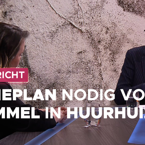 Schimmel in 1 op de 4 huurwoningen? CDA: "Nationaal actieplan nodig tegen schimmel"