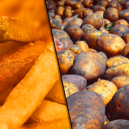 Aardappels spotgoedkoop, maar een frietje is duurder dan ooit: hoe kan dat?