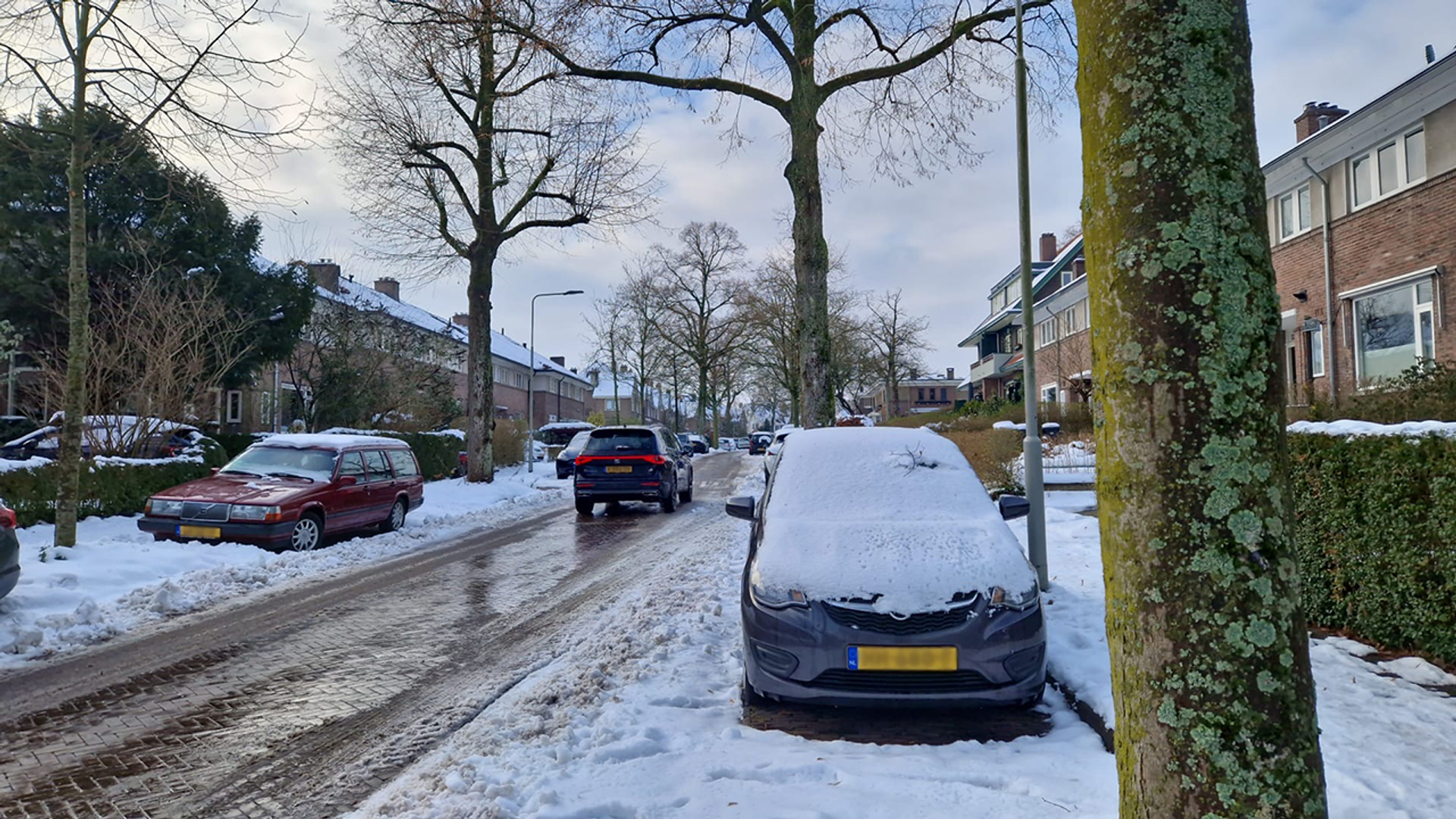 auto's onder sneeuw