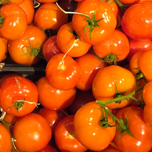Welke tomaten smaken het beste? Hier moet je op letten in de supermarkt