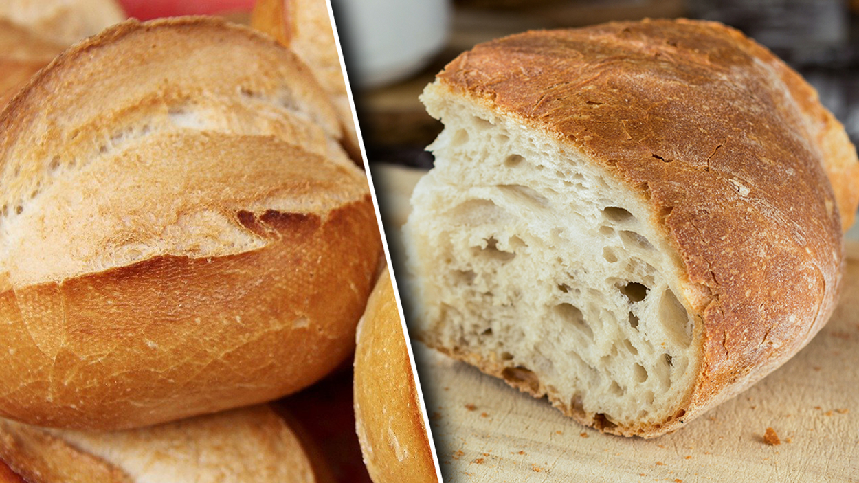 brood_20220926