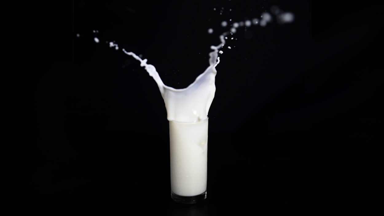koemelk melk haverdrink rijstdrink 1127