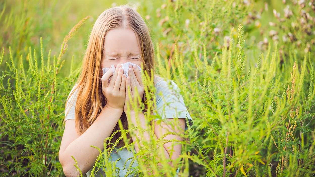 hay-fever-season-has-arrived-what-you-need-to-know-and-how-to-reduce