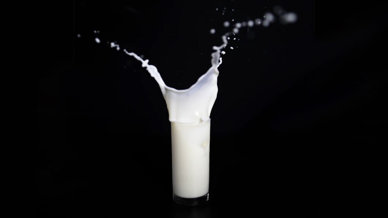 Afbeelding van Haverdrink of koemelk: wat is duurzamer?