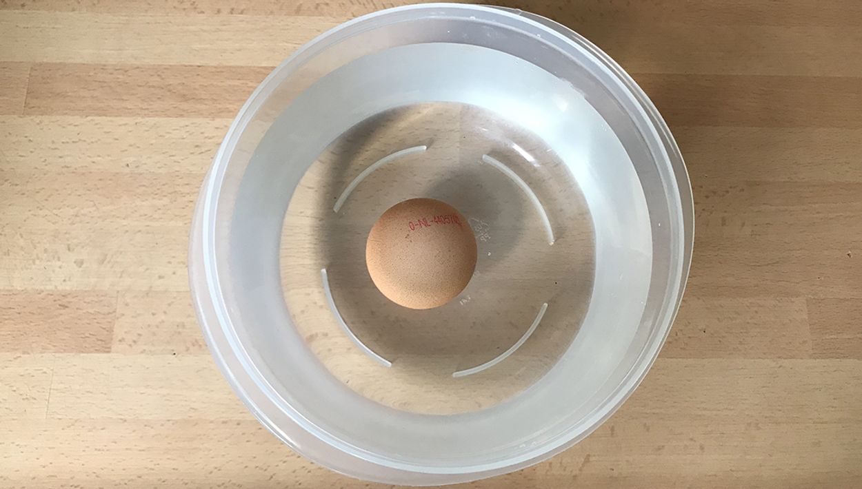 Afbeelding van Is je ei vers of bedorven? Met deze simpele truc zie je het meteen!