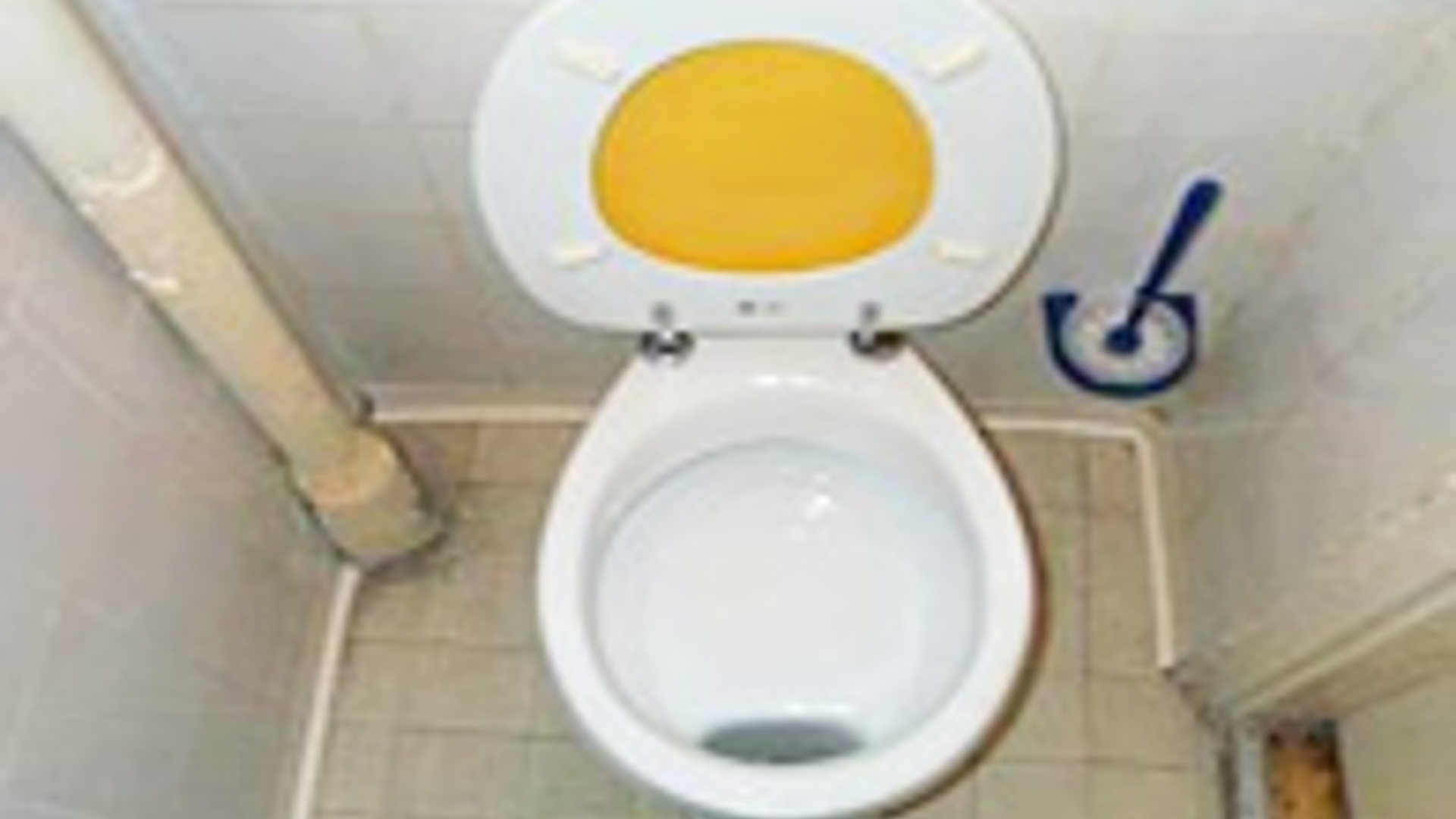 toilet_01.jpg