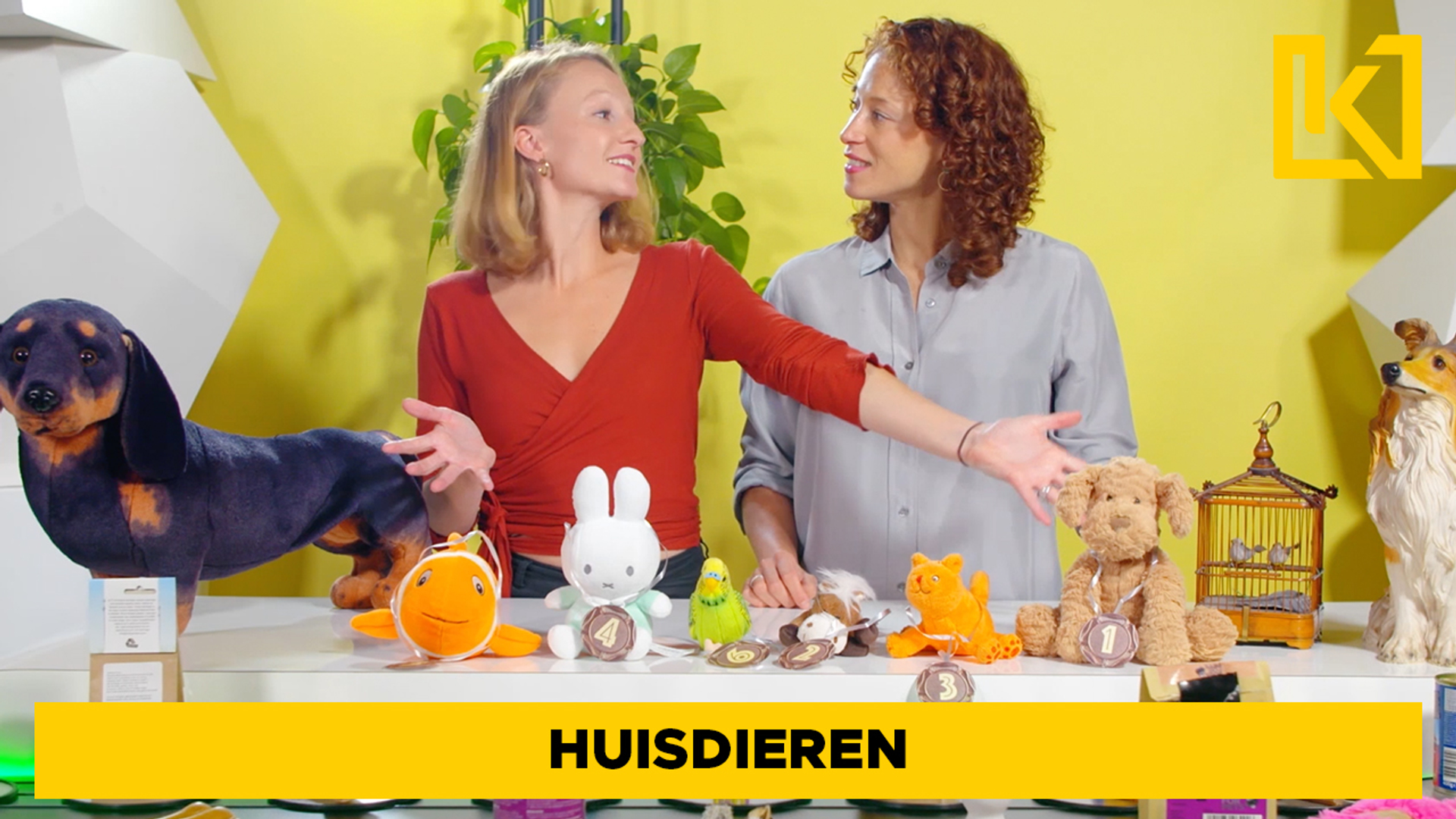 Huisdieren thumbnail