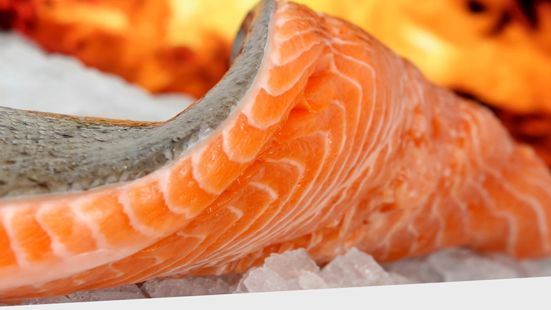 zalm 930x520