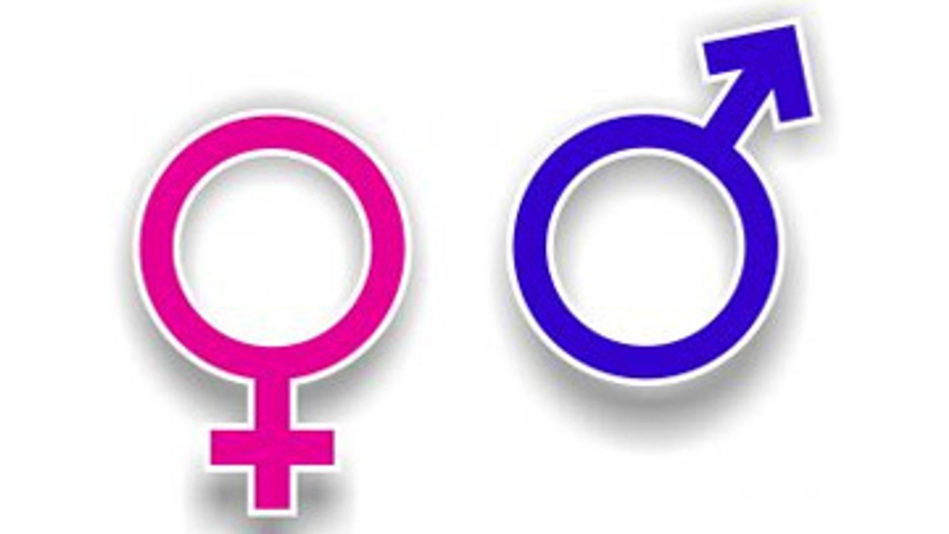 gender.jpg