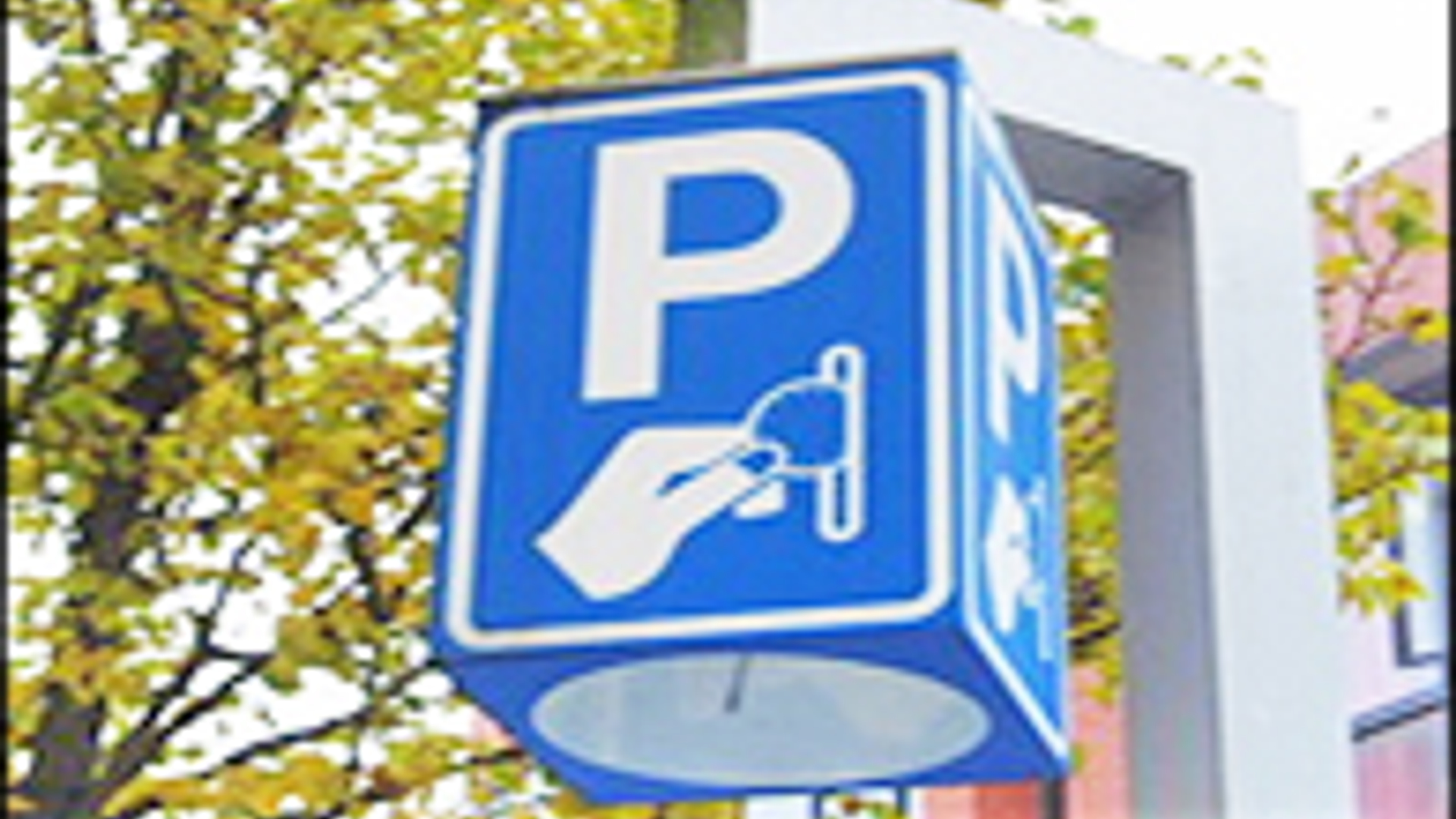 parkeer-automaat-195x117_02.jpg