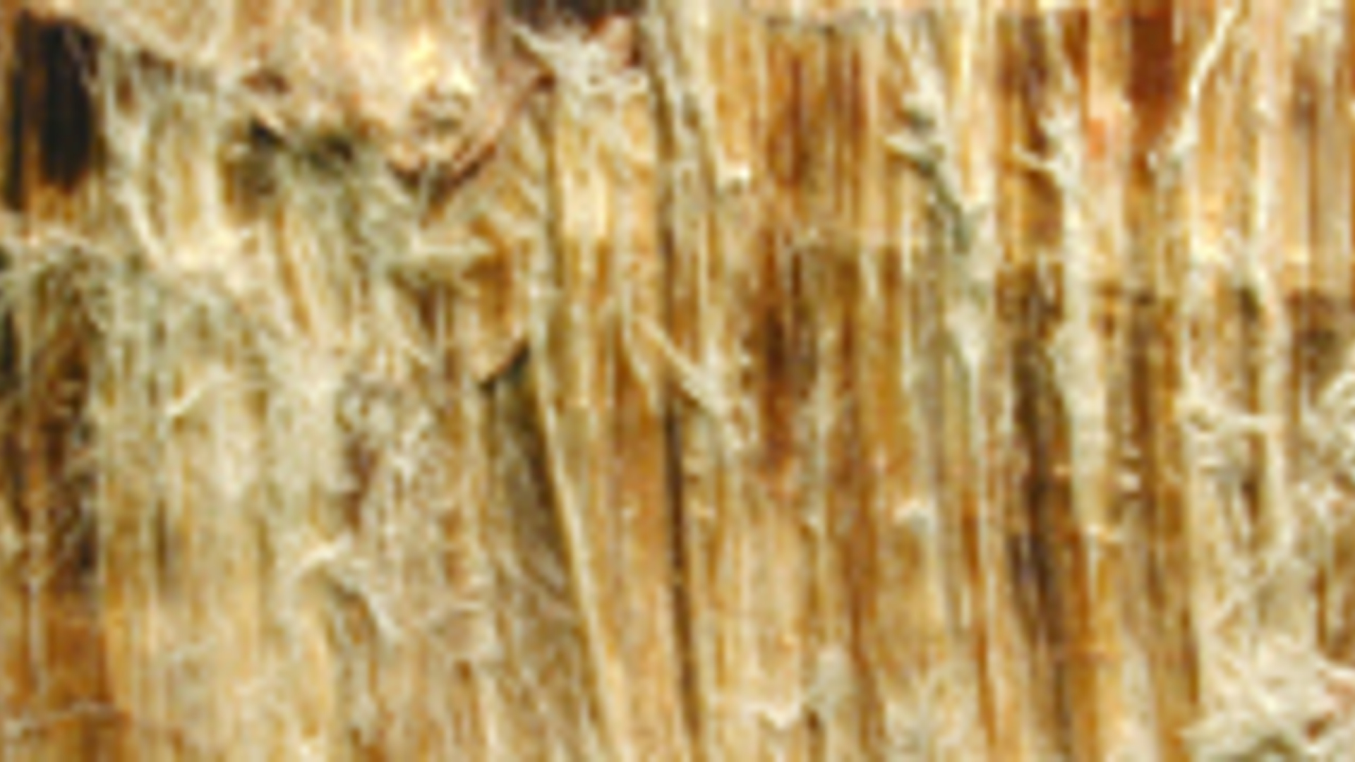 195x90_asbest_03.jpg
