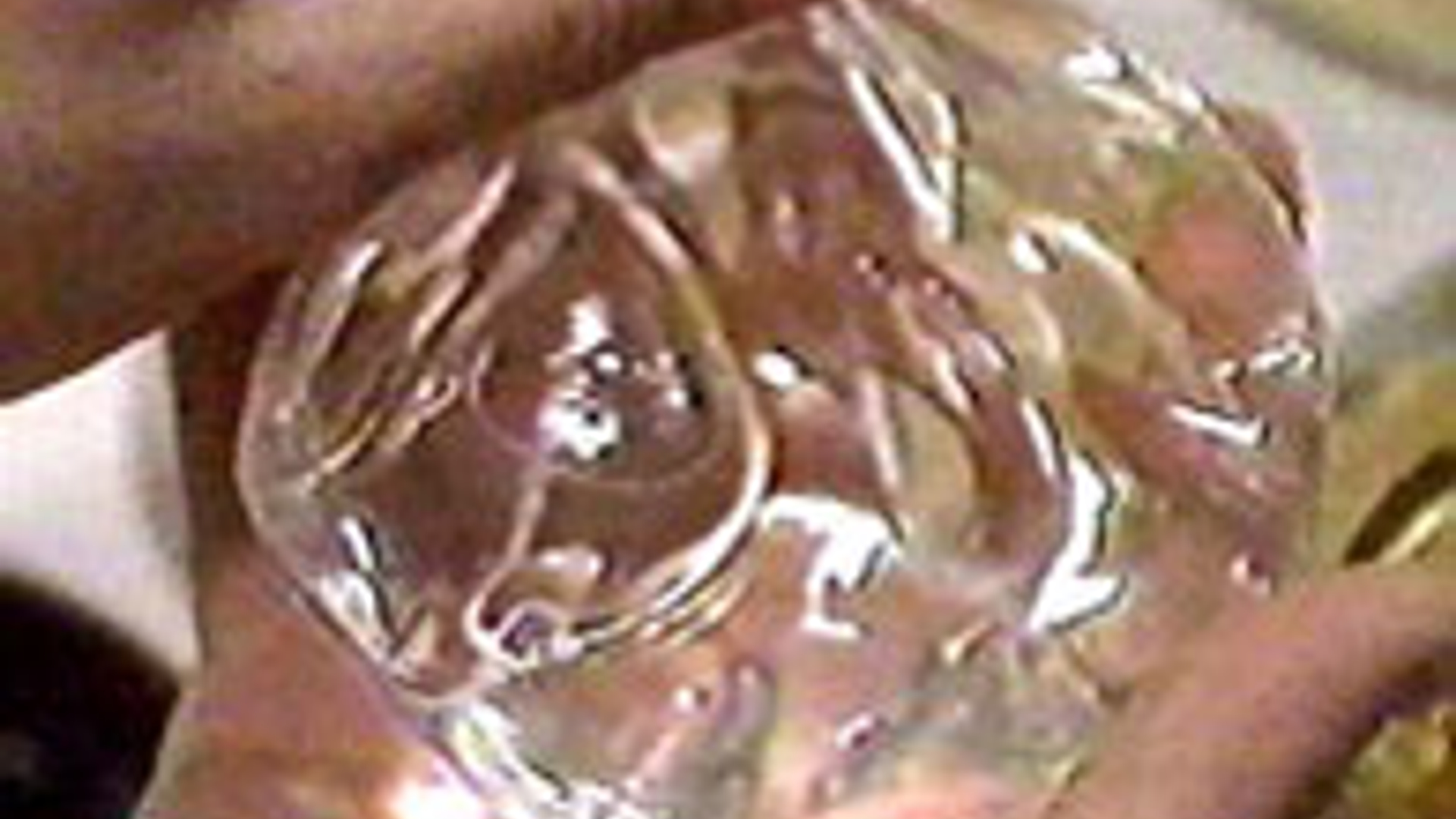 590166.jpg