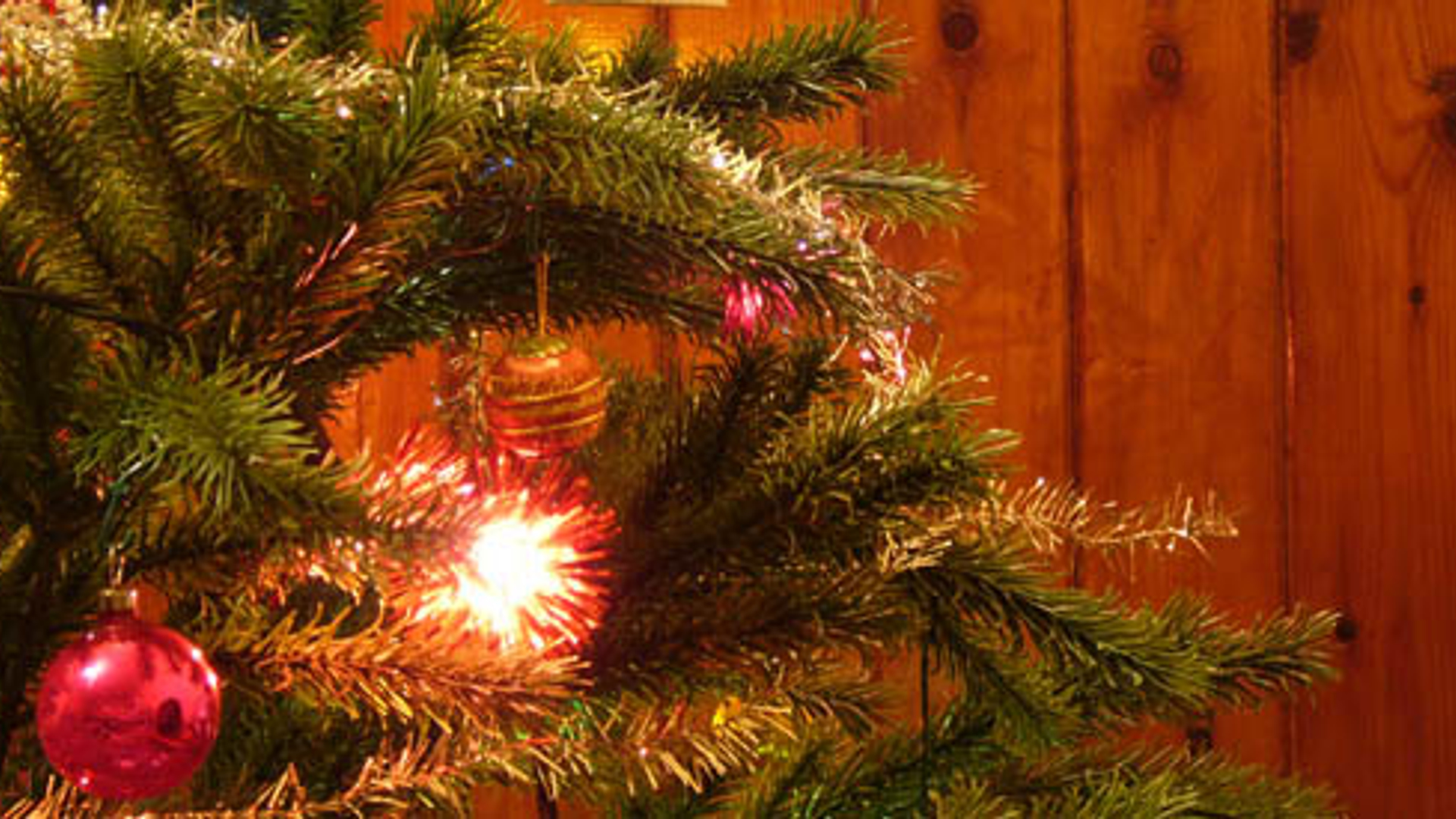 600x275_kerstboom_03.jpg