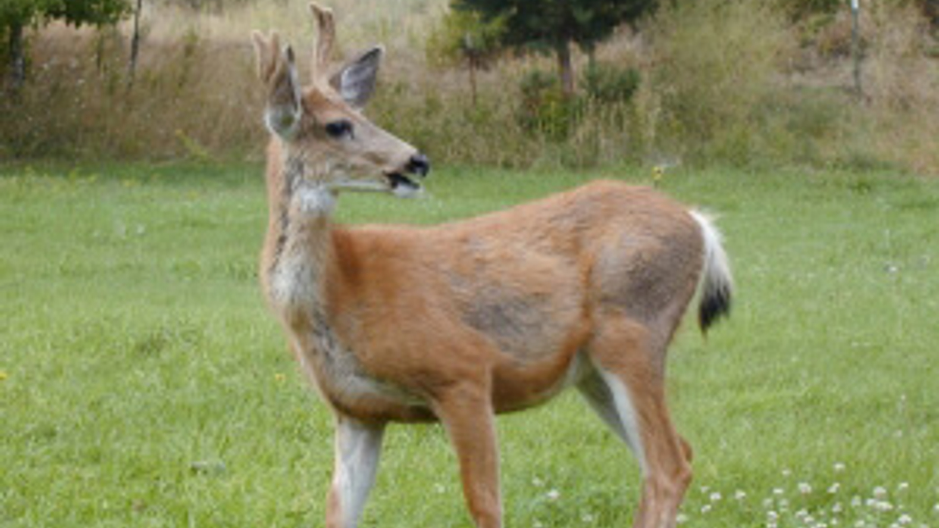 ree195117.jpg