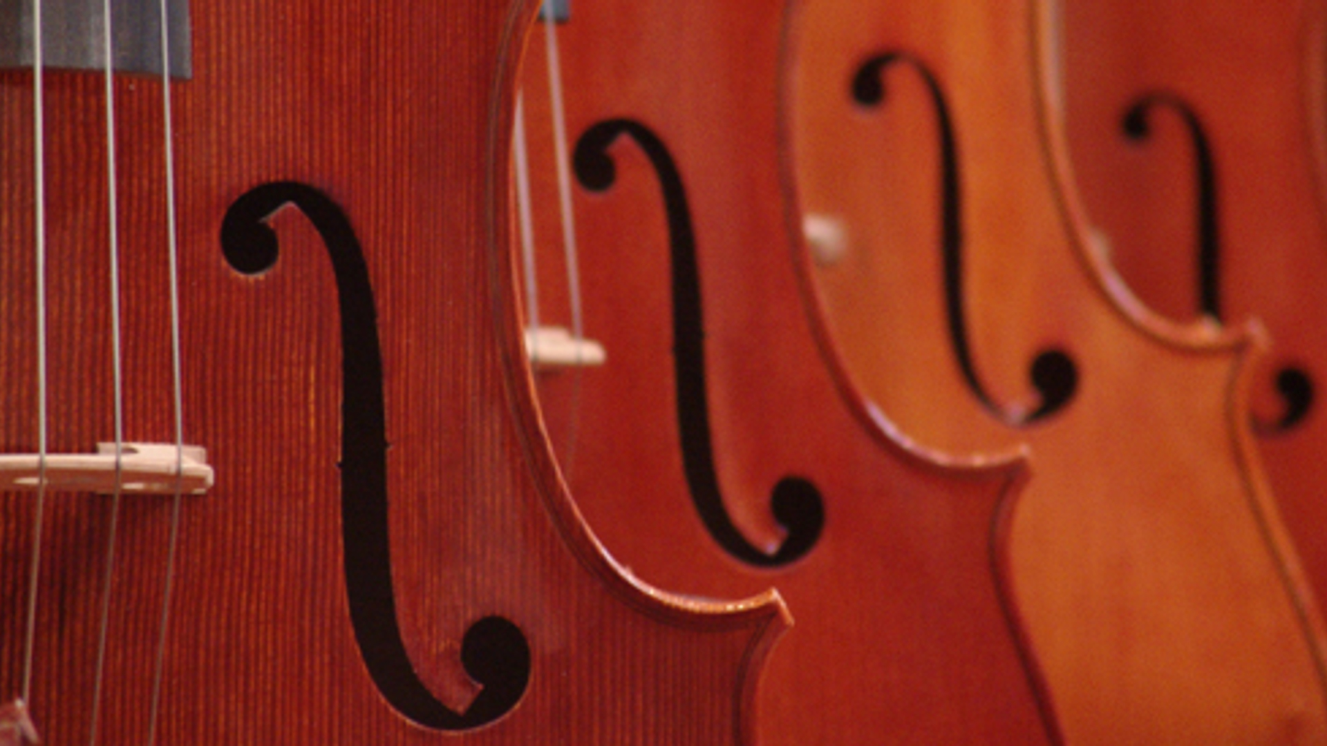 orkest_01.jpg