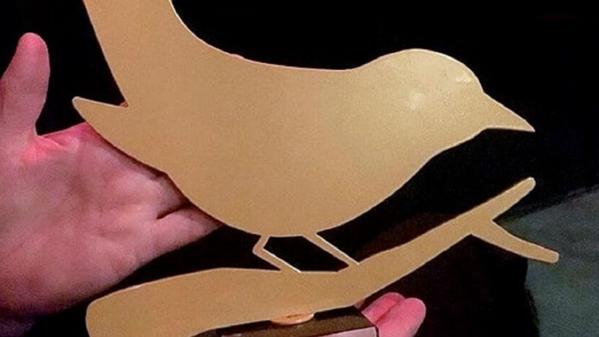 award house of media