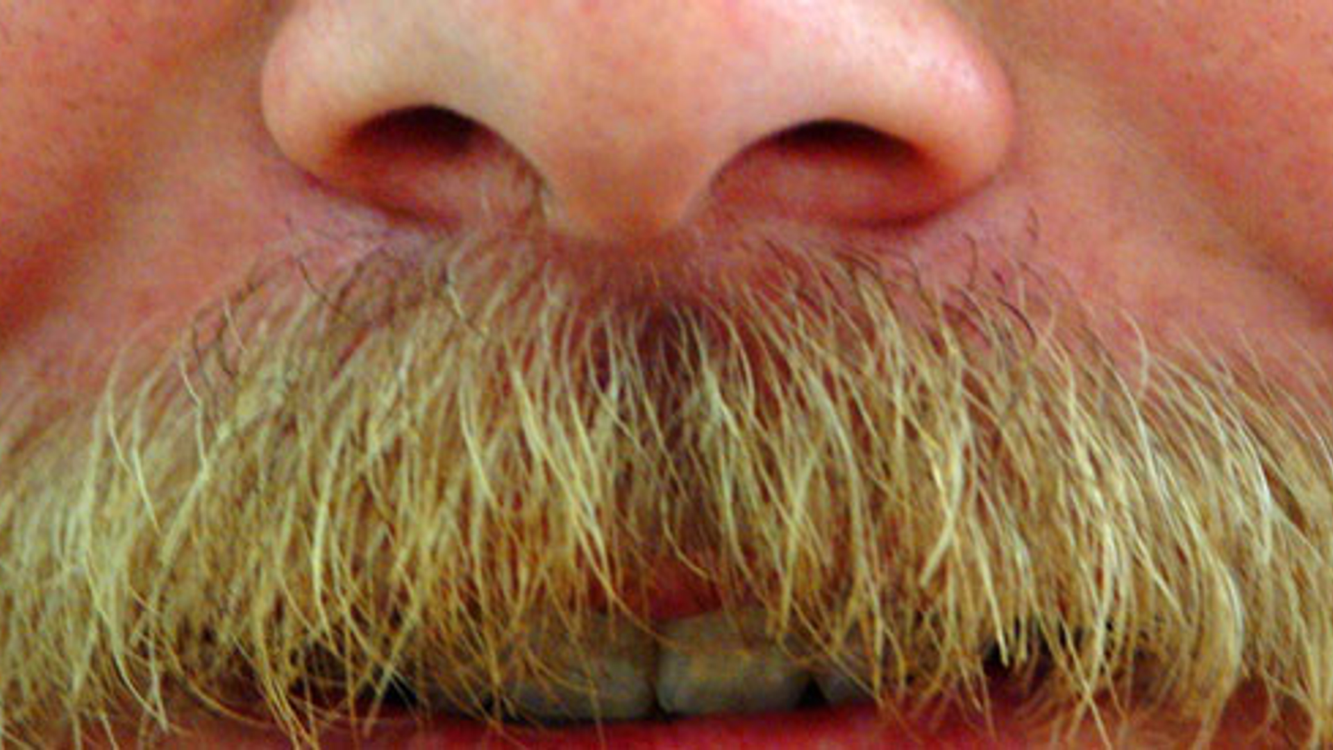 snor_movember_04.jpg