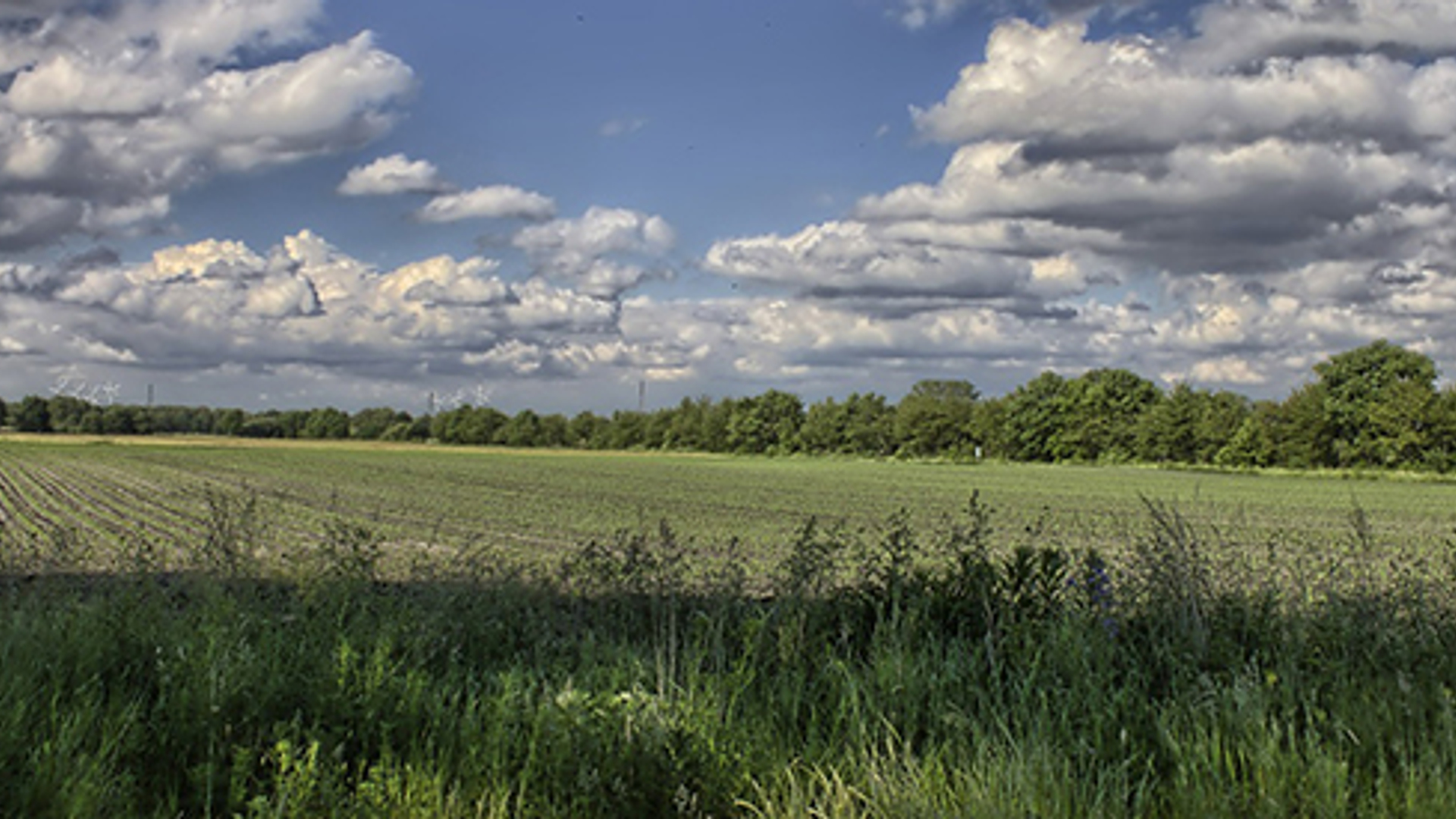 landscape-364944_1280.jpg