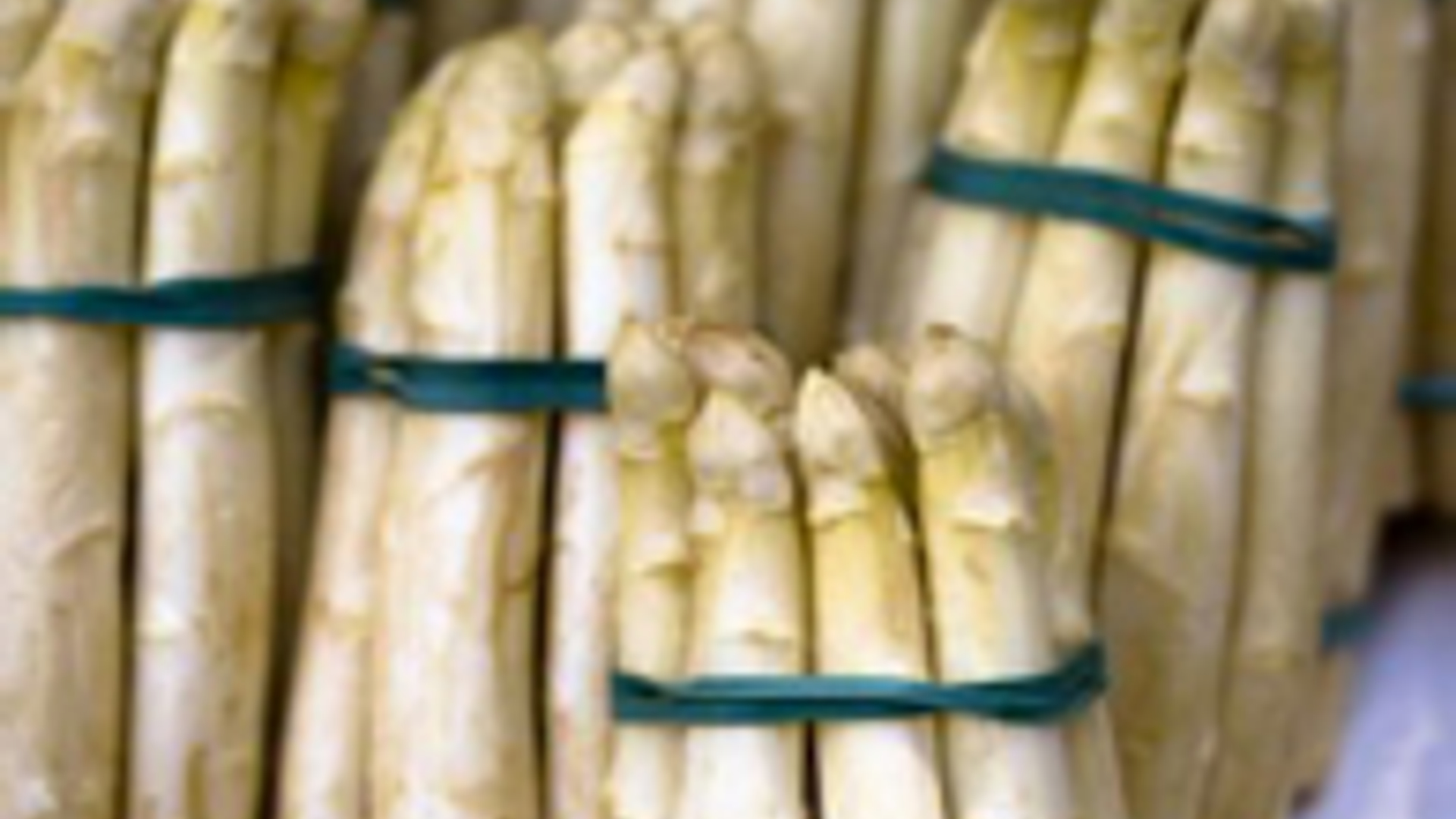 asperges.jpg