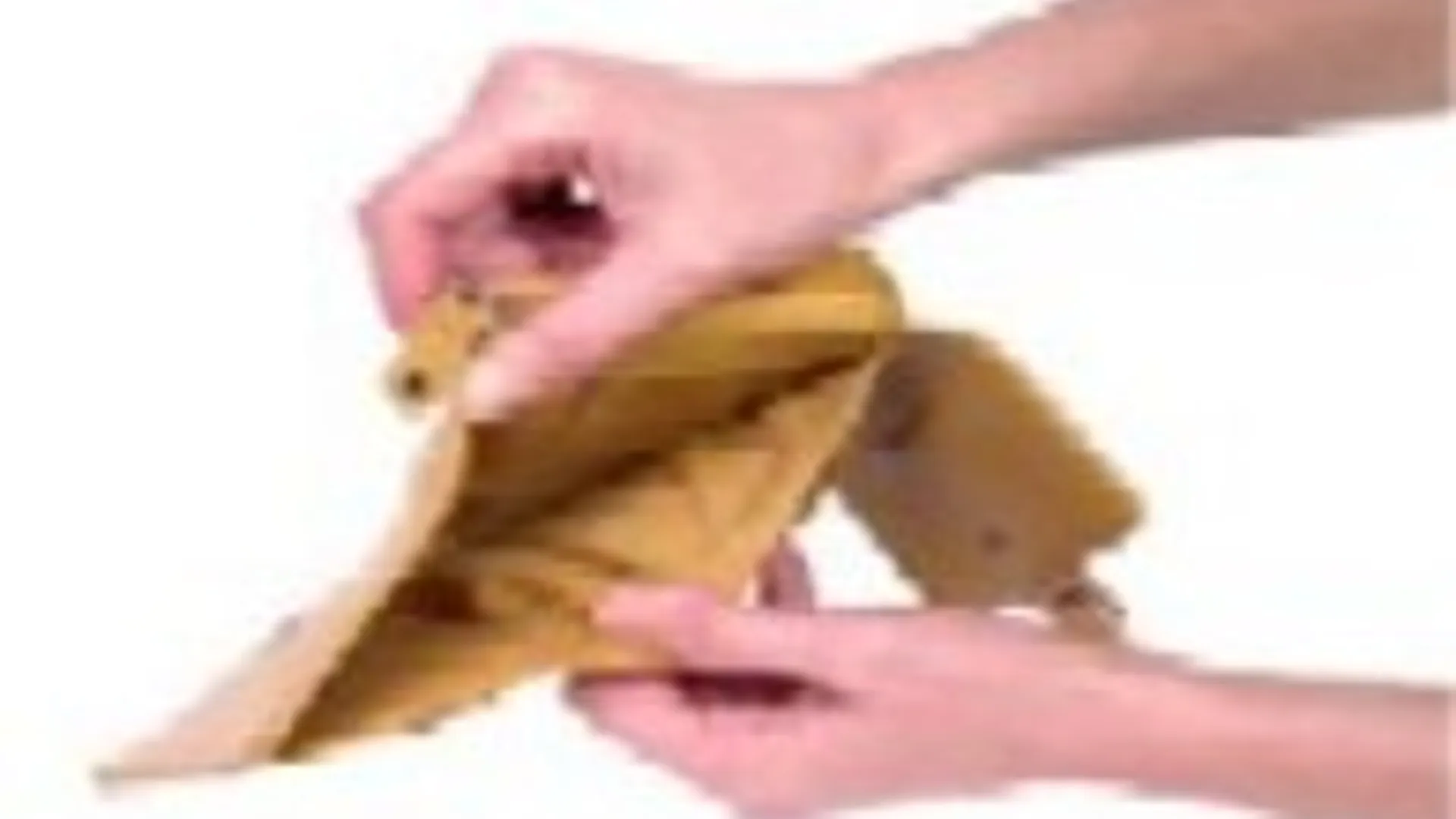 3213581.jpg