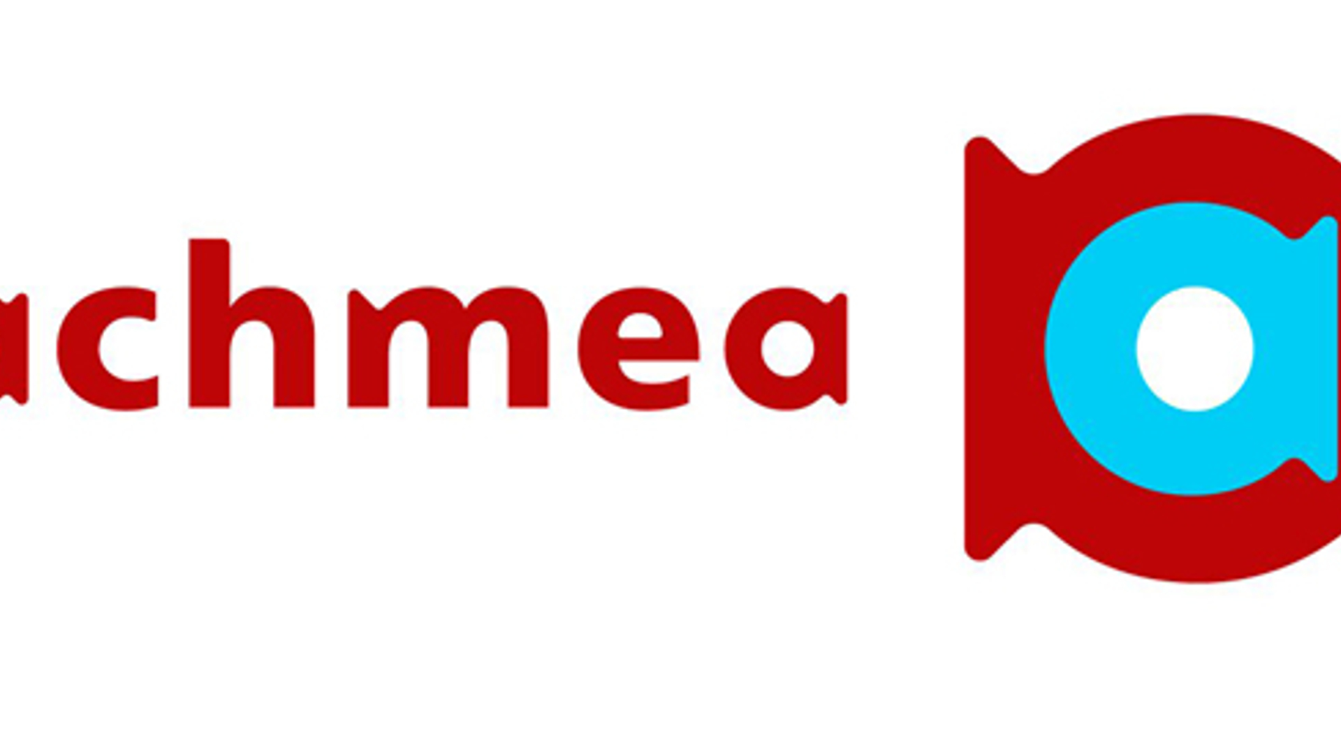 logo_achmea_04.jpg