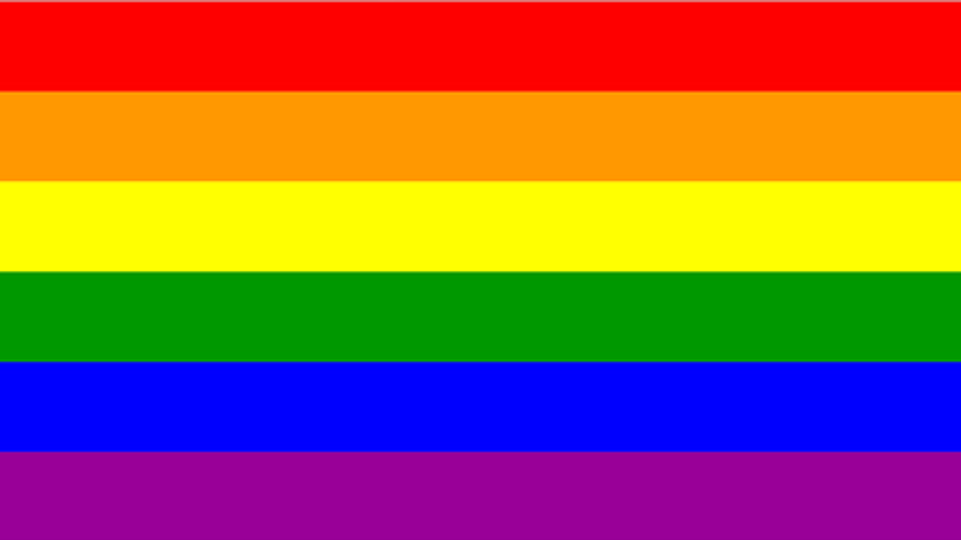 homo_vlag_03.jpg