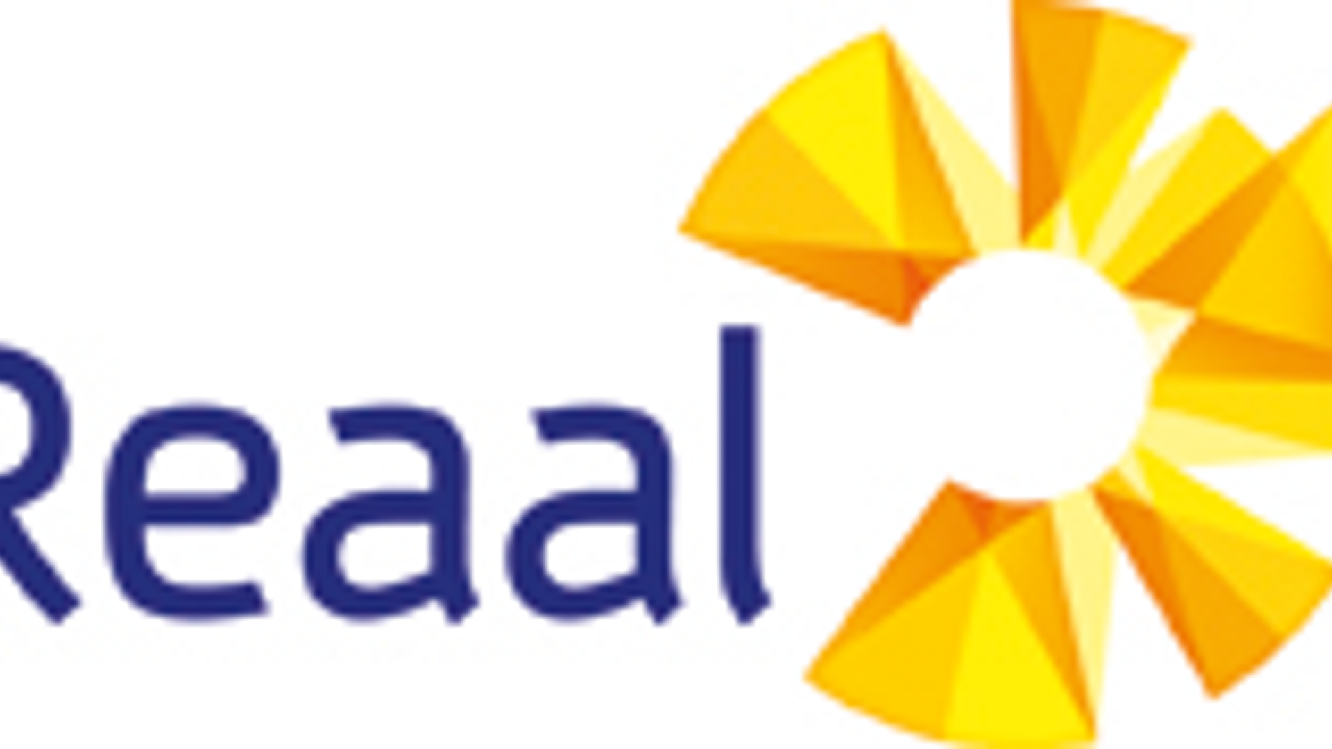 195x90_reaal_01.jpg