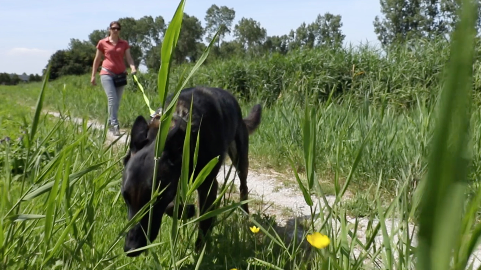 Schermafbeelding 2019-07-16 om 16.04.20