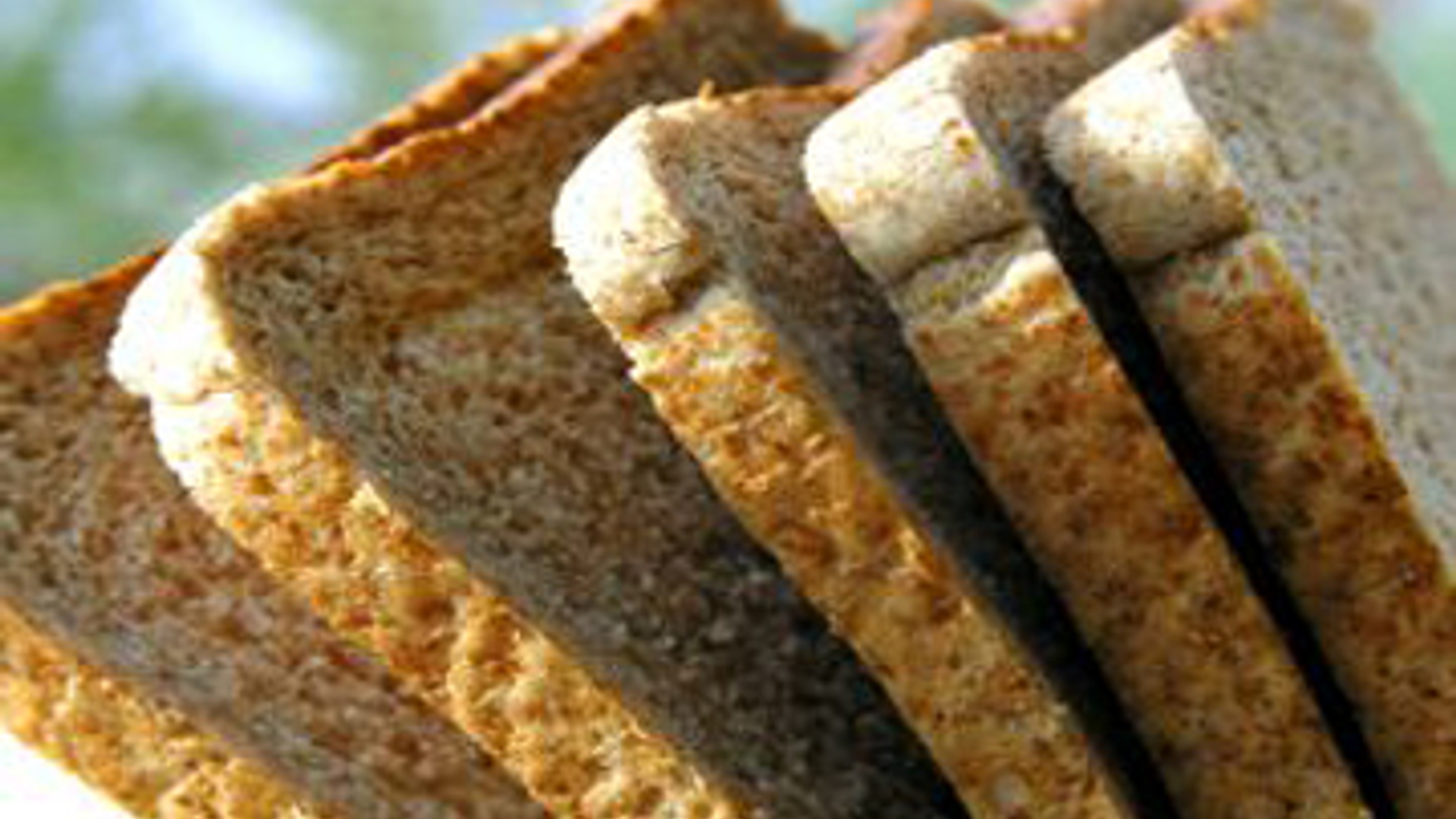 brood_359x210_01.jpg
