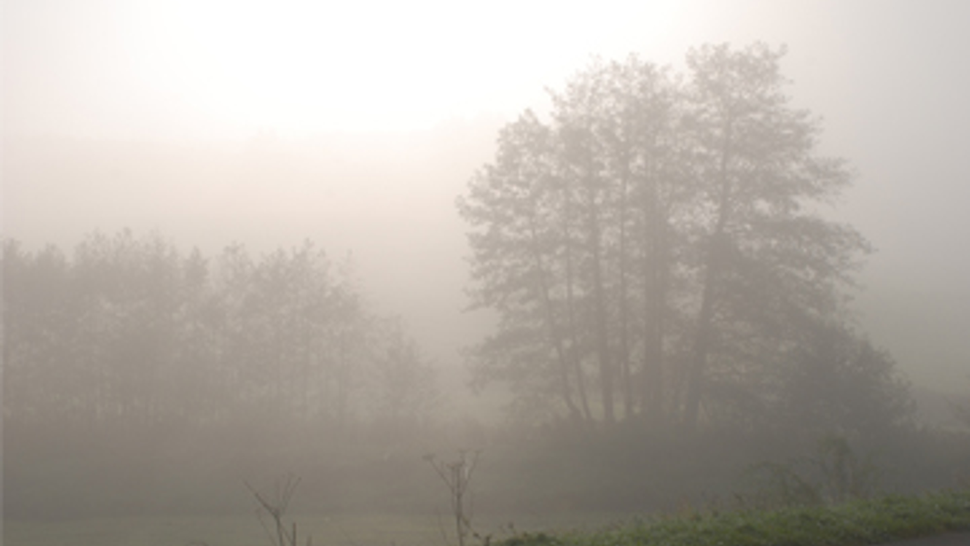 mist_goed_groot.jpg