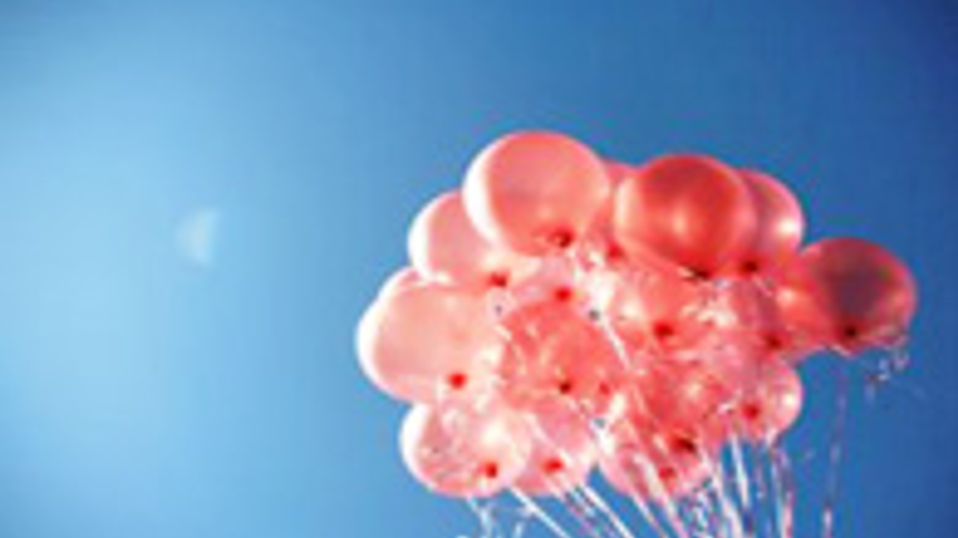 rose-ballonnen.jpg