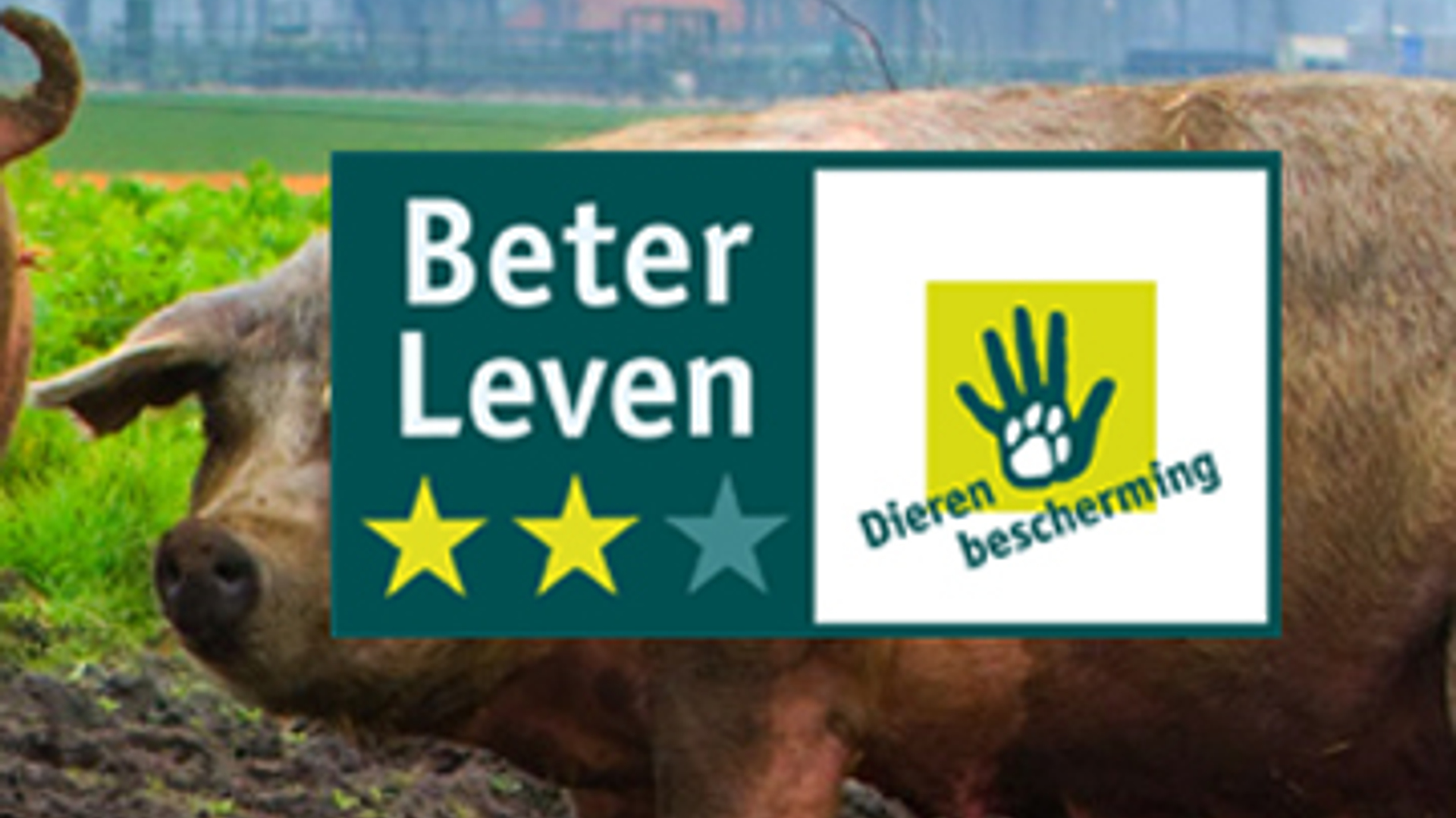 beter-leven-groot_02.jpg