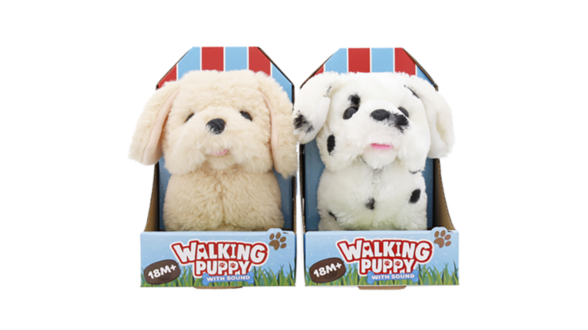walking puppy