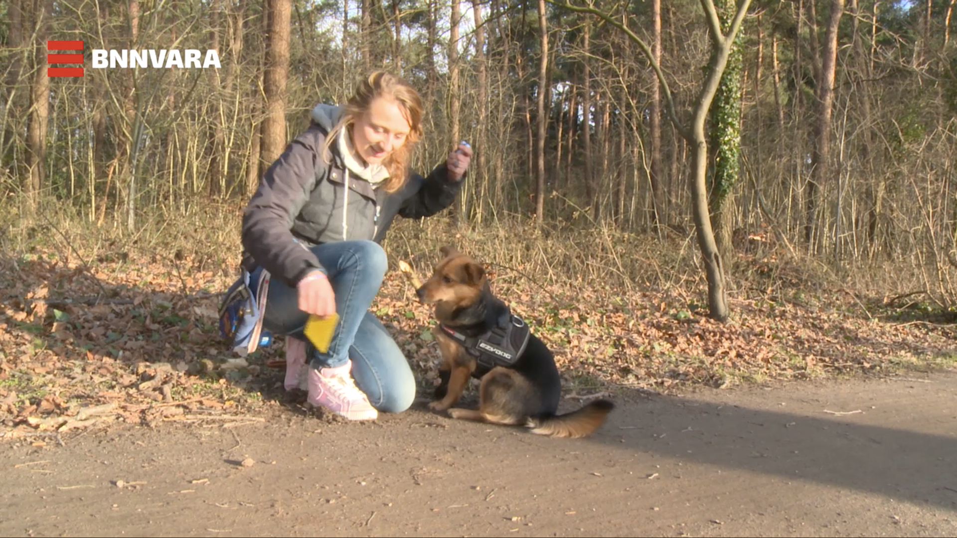 printscreen stress bij honden