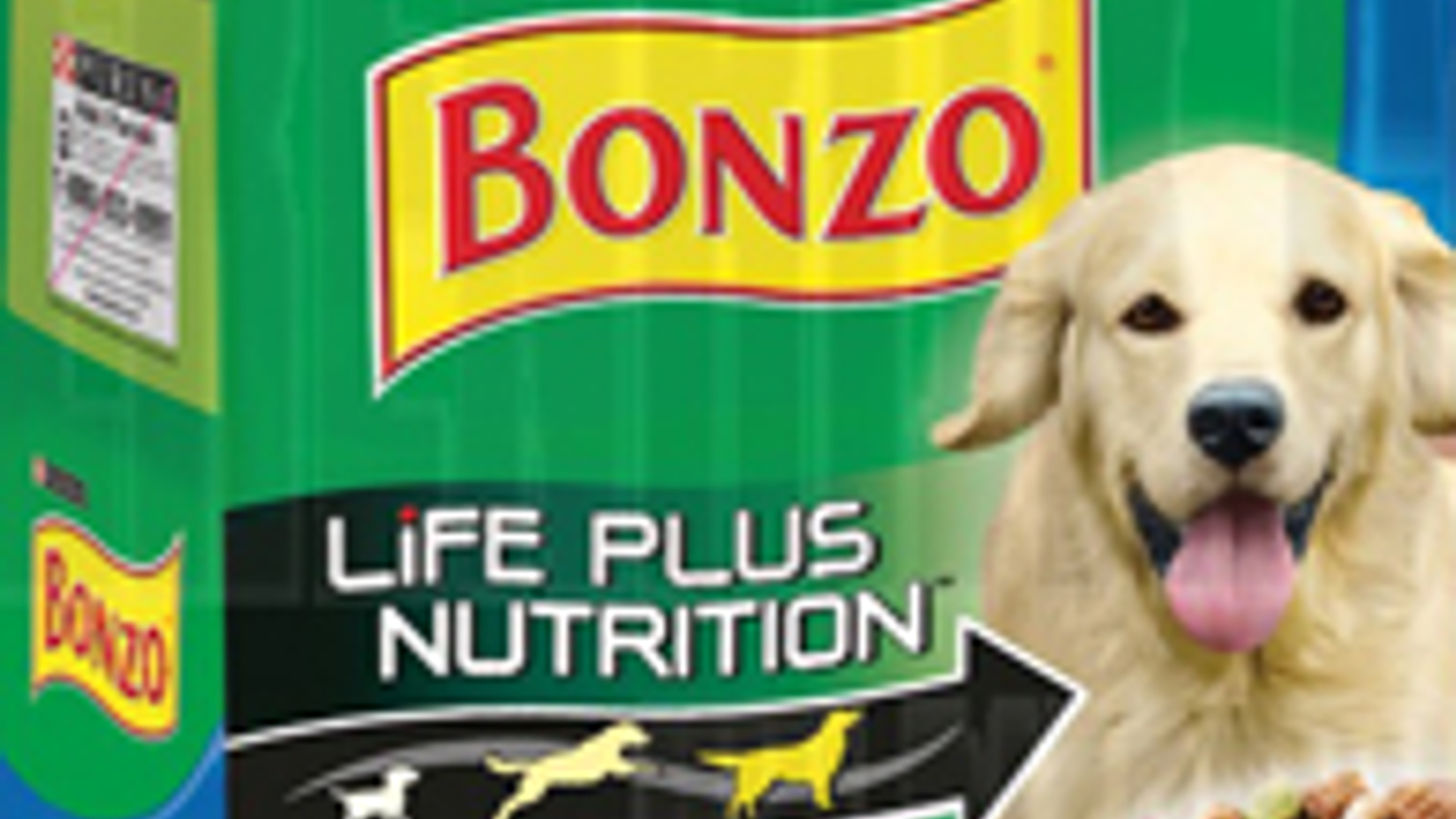 Bonzo.jpg