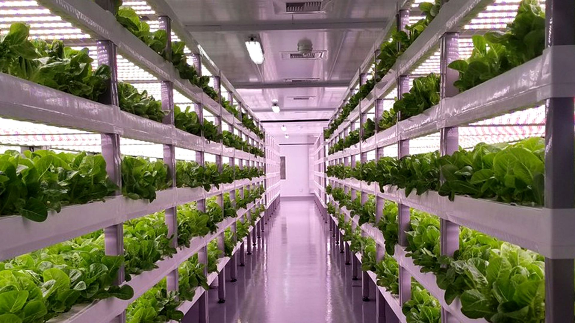 vertical farming 930